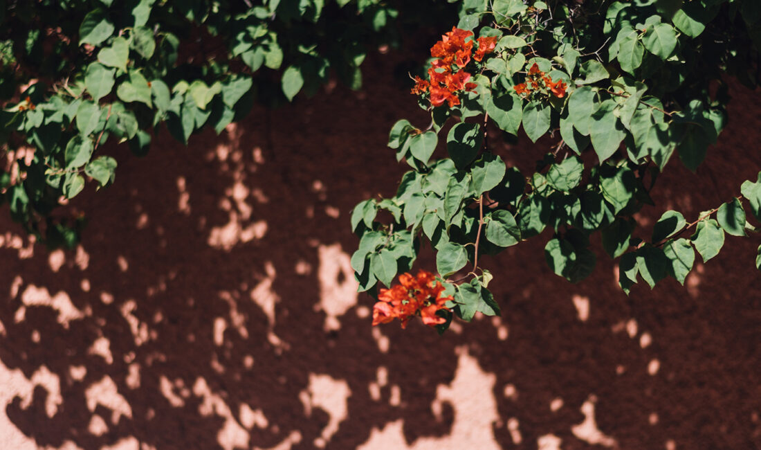 unsplash stock photo