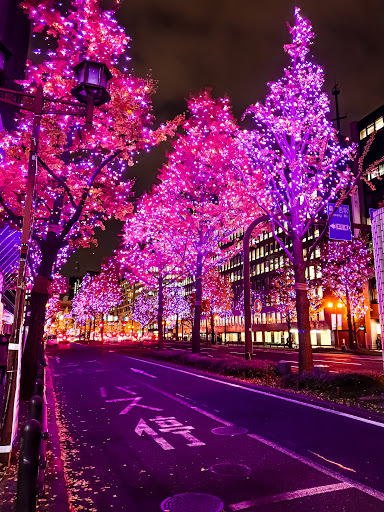 My Dream Was To Capture The Neon Lights Of Japan So I Did Nether Netherland